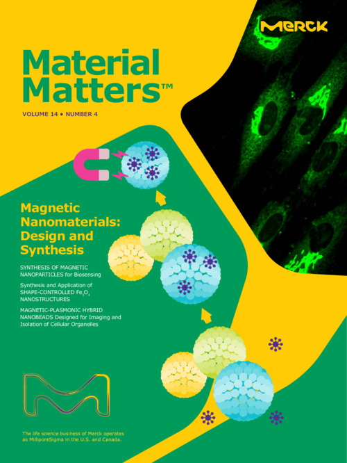Material Matters Vol.14 No.4 「磁性ナノ材料：設計と合成法」（英語版） 表紙