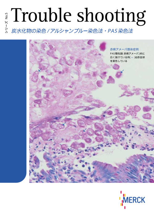 トラブルシューティング No.5 表紙