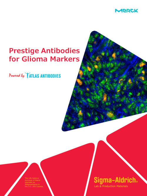Prestige Antibodies for Glioma Markers 表紙