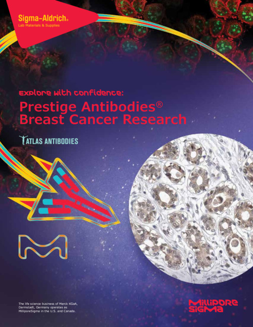 Prestige Antibodies Breast Cancer Research 表紙
