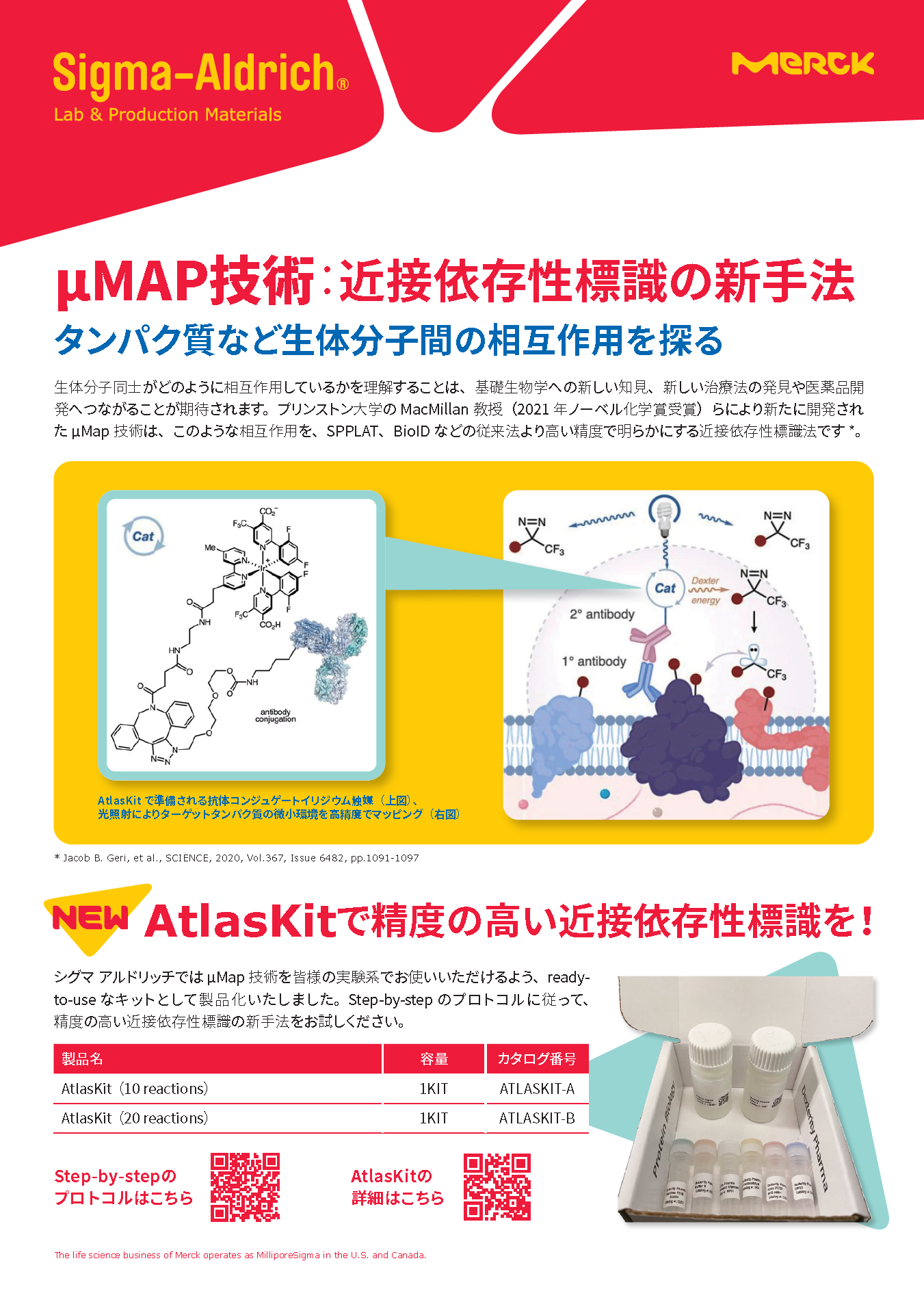 μMAP技術：近接依存性標識の新手法 表紙