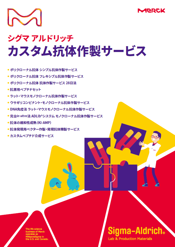 シグマ アルドリッチ カスタム抗体作製サービス 表紙