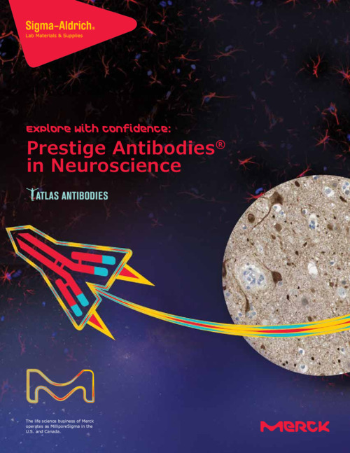 Prestige Antibodies in Neuroscience 表紙