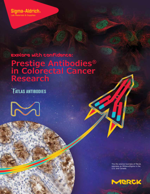 Prestige Antibodies in Colorectal Cancer Research 表紙