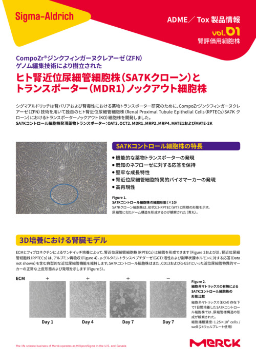 ヒト腎近位尿細管細胞株（SA7Kクローン）と トランスポーター（MDR1）ノックアウト細胞株  表紙