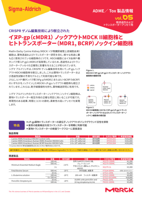 イヌP-gp（cMDR1） ノックアウトMDCK II細胞株とヒトトランスポーター（MDR1, BCRP）ノックイン細胞株 表紙
