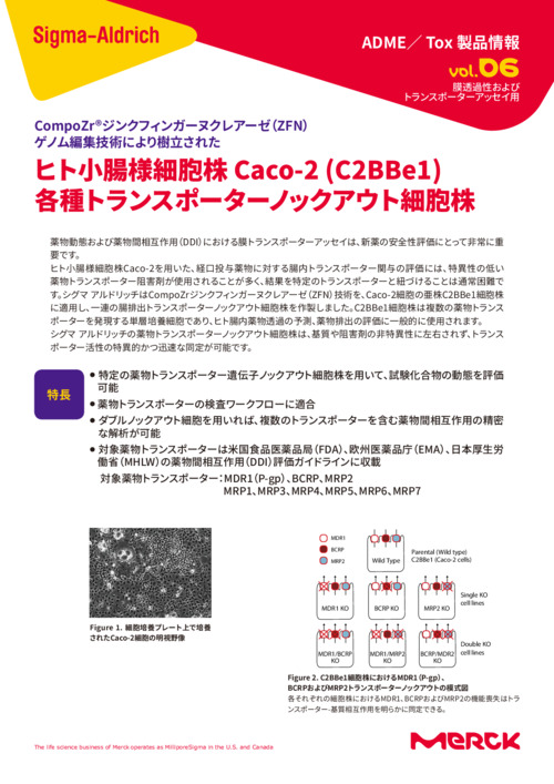 ヒト小腸様細胞株 Caco-2 (C2BBe1) 各種トランスポーターノックアウト細胞株 表紙