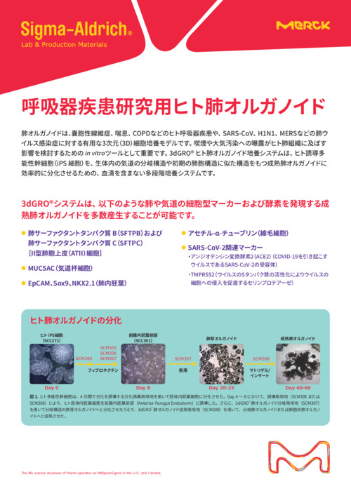 呼吸器疾患研究用ヒト肺オルガノイド 表紙