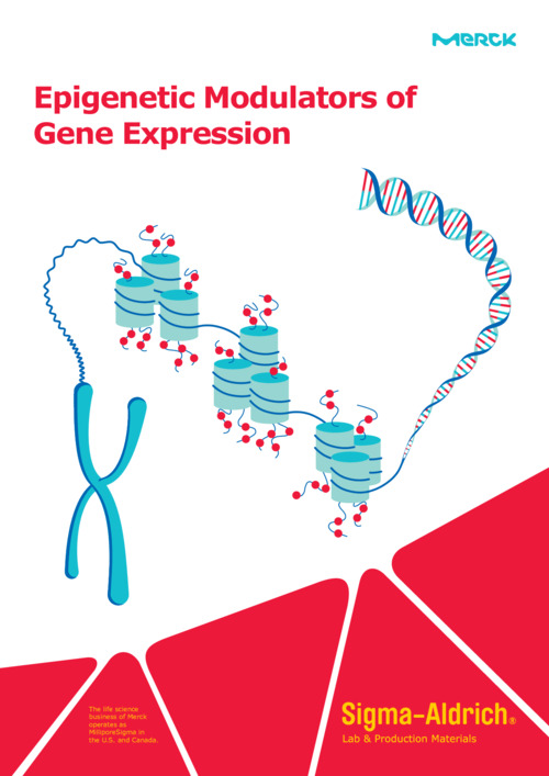 Epigenetic Modulators of Gene Expression 表紙