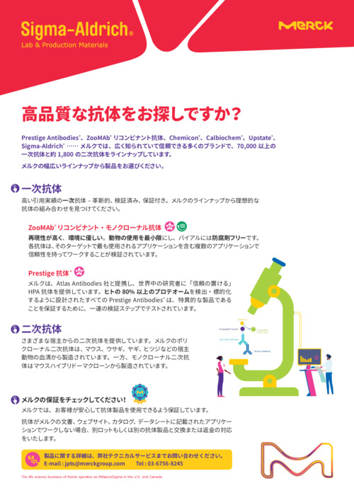 Antibody flyer 表紙
